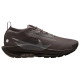 Nike Pegasus Trail 5 Gore-Tex Nike Pegasus Trail 5 Gore-Tex